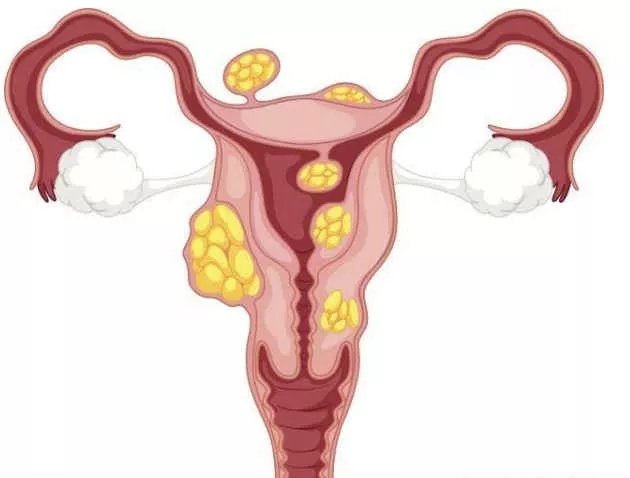 1567037328774627.jpg 1567037328774627.jpg