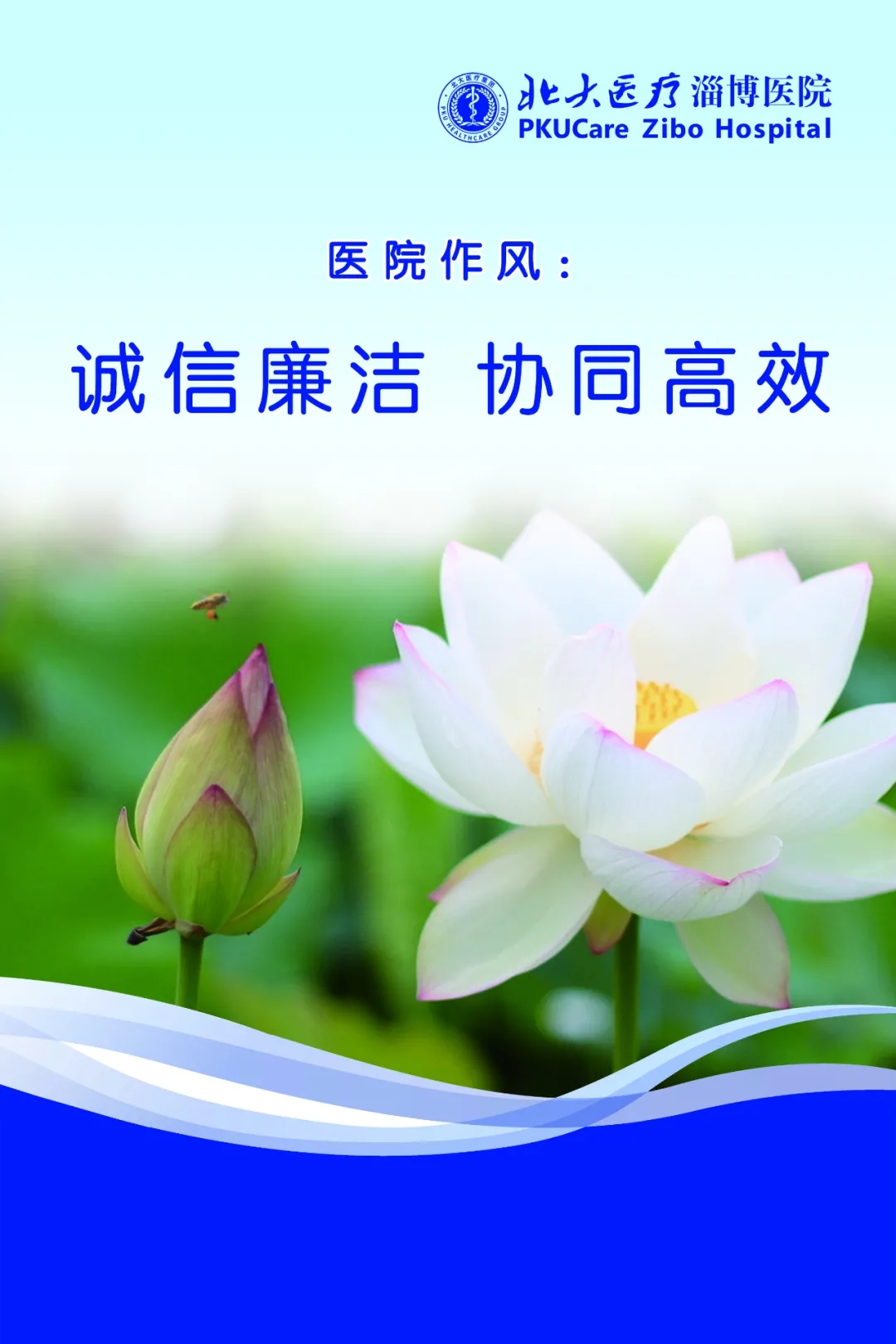 1608087675274928.jpg 1608087675274928.jpg