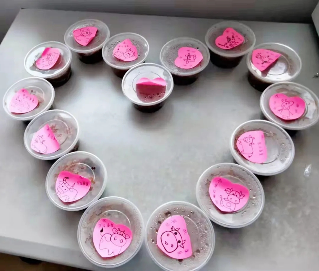 1611195860876665.jpg 1611195860876665.jpg